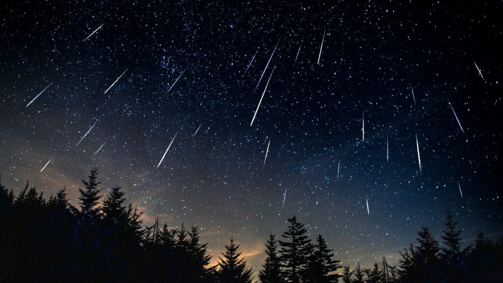 Esta noite a Rússia poderá ver a chuva de meteoros Leônidas.  Mas como?  E então 👉