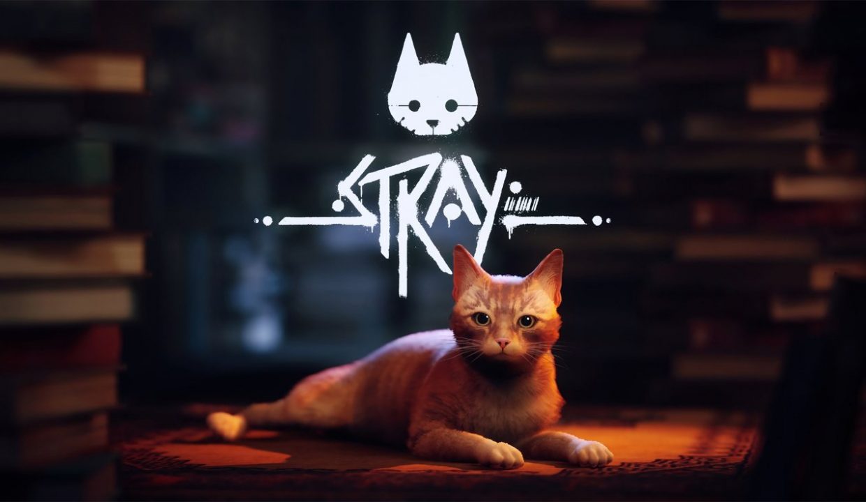 Популярная игра про кота Stray вышла на Mac, в том числе в России. Цена –
