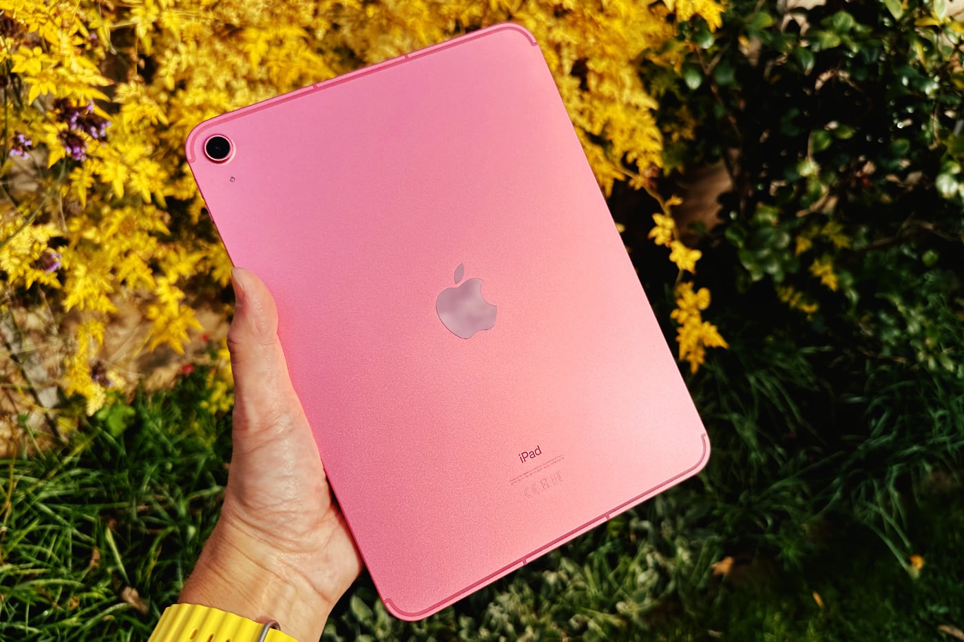 Apple выпустит iPad 11-го поколения во второй половине 2024 года