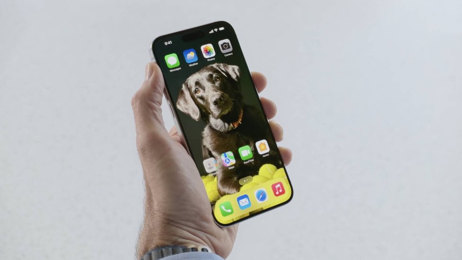 https://www.iphones.ru/wp-content/uploads/2024/06/IMG_5230.jpeg