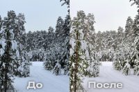 Снег должен быть белым. Пошаговая инструкция, как сделать идеальные зимние фото на iPhone