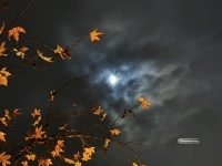 Учимся, как правильно фотографировать Луну на iPhone. Чтобы чётко, красиво и все удивились