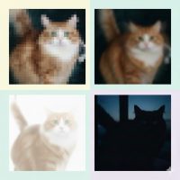 Не магия, а математика. Как нейросеть понимает, что изображено на картинке