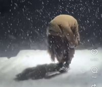 Жители Гренландии ответили Трампу. Ролик завирусился в TikTok и показывает типичного американца под веществами