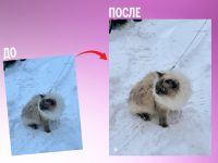 Фотографы в шоке. Универсальный промт, который сделает любое фото ярче за минуту