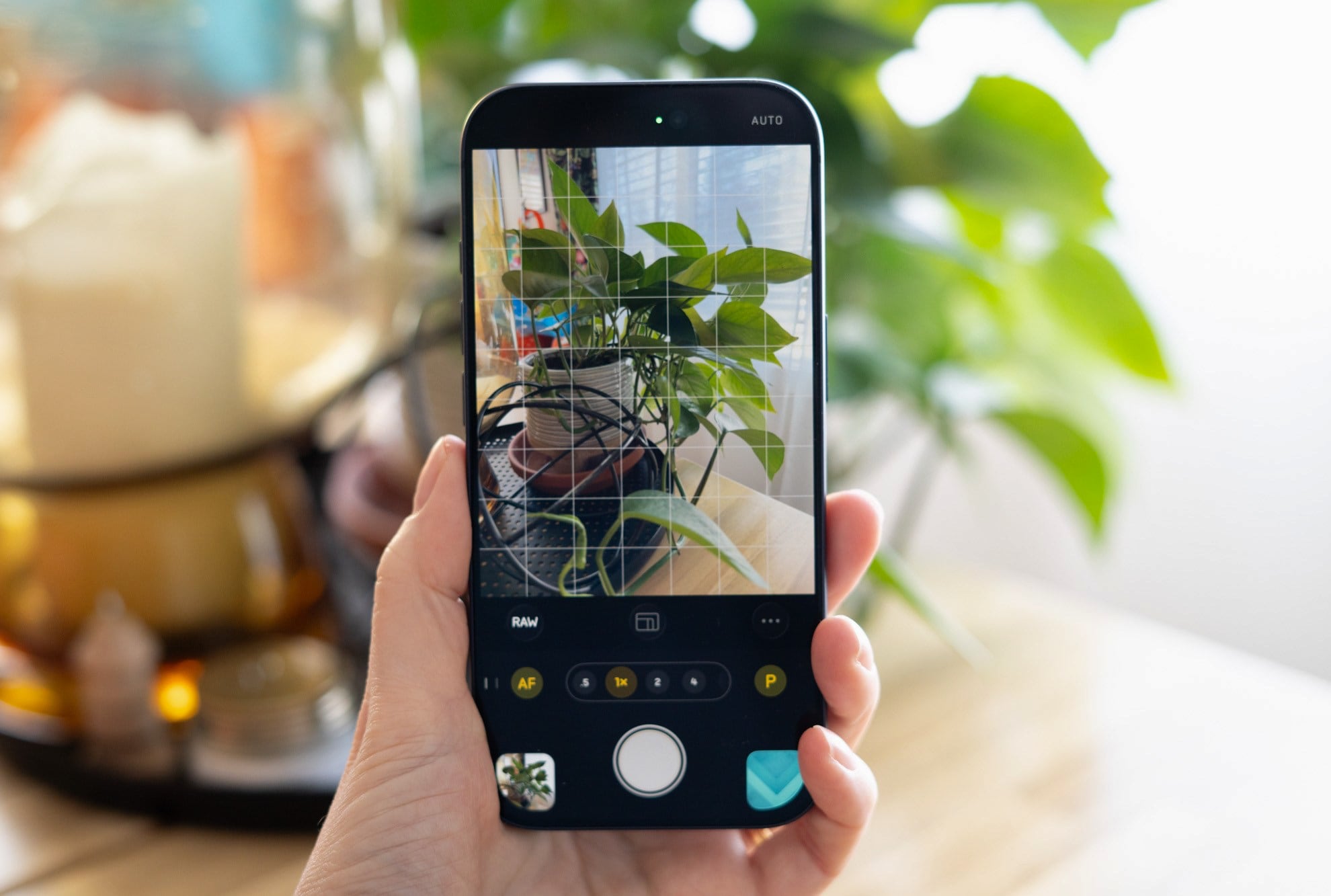 Создатели приложения Halide судятся друг с другом из-за того, что один из них перешёл в Apple и украл исходный код